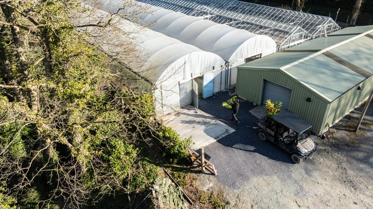 A member of the garden team can be seen moving plants into the new nursery space at Bodnant Garden